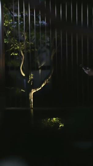Til Lies Do Us Part Episode 2
