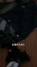 第 1 話