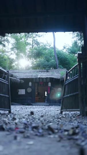 系統助我：亂世娶妻成霸主 第1集