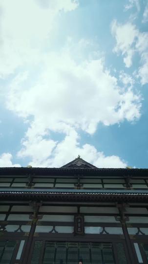 梧桐引 第1集