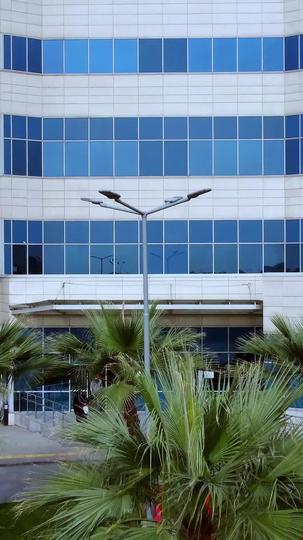 Embarazada del vagabundo multimillonario Episodio 4