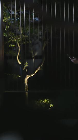 温柔陷阱 第2集