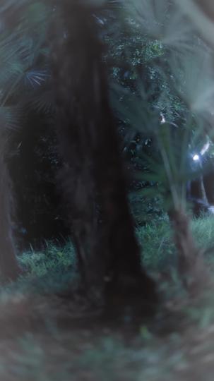 掠星 第1集