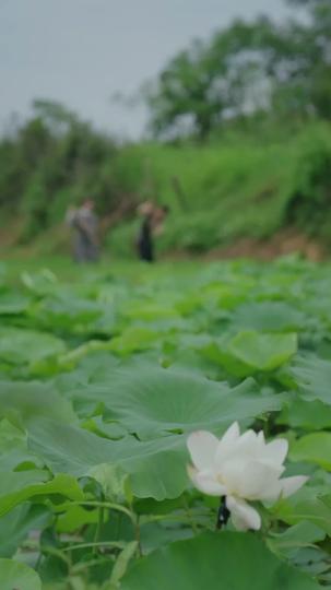 穿成極品老婦只想當鹹魚 第10集