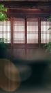 Episodes 38