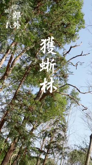 朕，如此多嬌 第6集