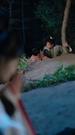 Episodes 71
