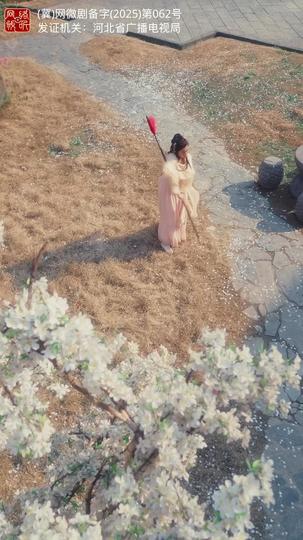 梨花无意伴春寒 第3集
