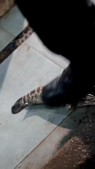 Love, Signed & Sealed Episode 2