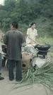Episodes 40