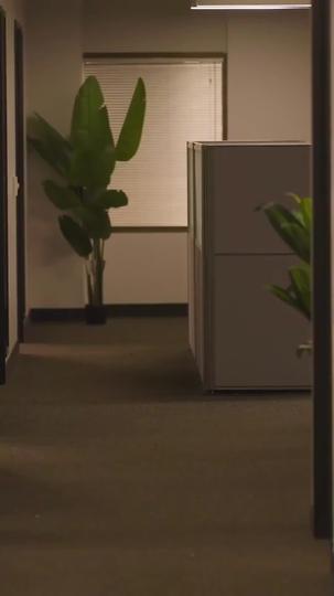 Mein geheimer Agenten-Ehemann 3Folgen