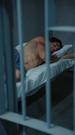 Episodes 36