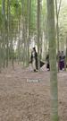 Episodes 47