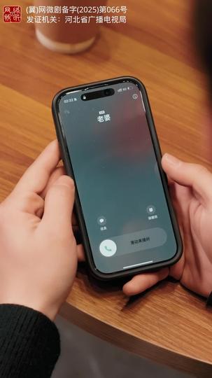三次之后，再也不见 第11集