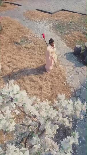 배꽃은 봄추위를 떠나서  제3회