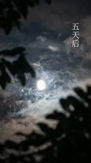 仙緣未了，失約的月亮 第10集