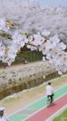 Episodes 30