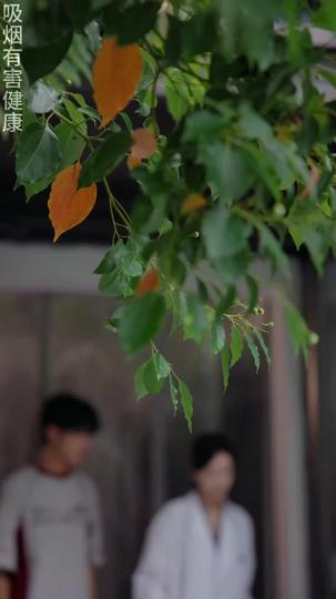 Tamed by Temptation Episode 5