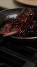 Episodes 24