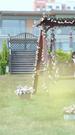 Episodes 30