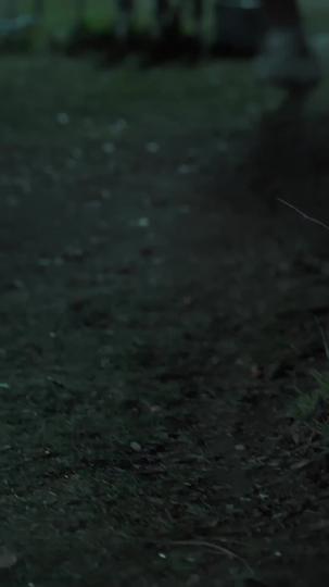 Alma Gêmea Indesejada (Dublado) 2Episódio