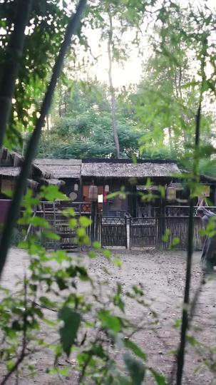 系統助我：亂世娶妻成霸主 第4集