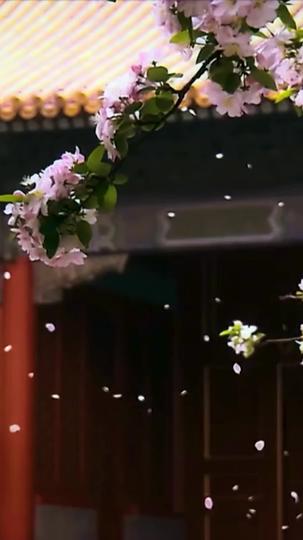 相思遥寄眼前人 第2集