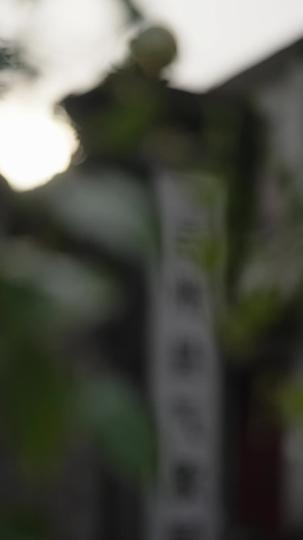 大梁败家少爷 第1集