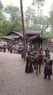 Episodes 49