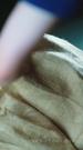 第10集