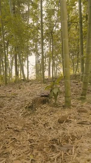 Quand la Vie Sourit Épisode7