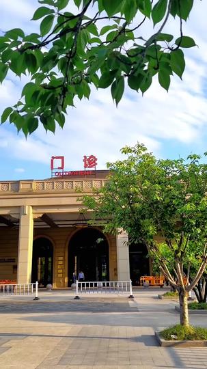 夫人，陆总已死请节哀 第5集