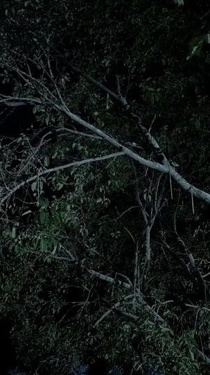 Cœur de Guerrier Épisode1