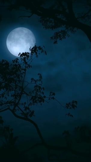 Twin Paths of Vengeance Episode 1
