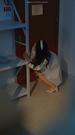 Episodes 39