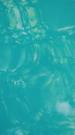 Episodes 38