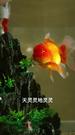 第7集