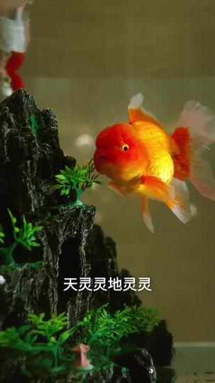 他来时海风很甜 第7集