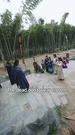 Episodes 78
