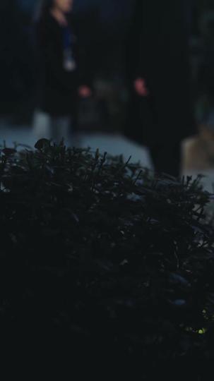 Love Lies and Bloodline Episode 9