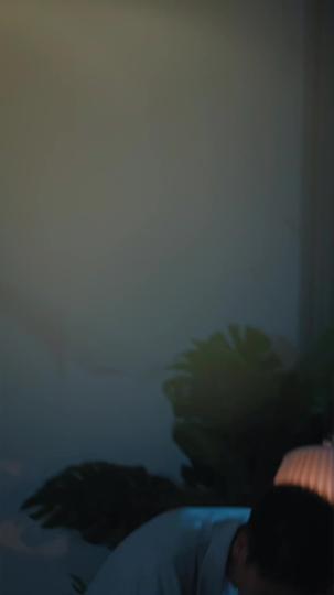 Amor por Acidente, Adeus por Destino 1Episódio