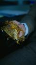 Episodes 55
