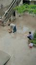 Episodes 75