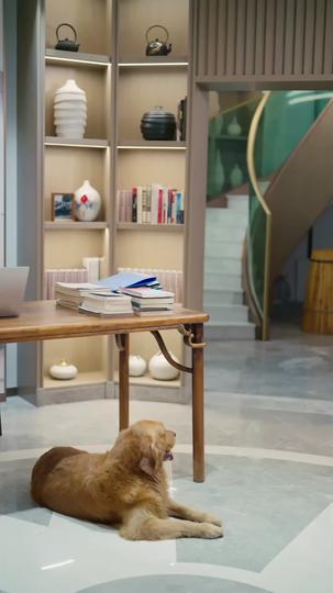 Te perdí, te encontré Episodio 6