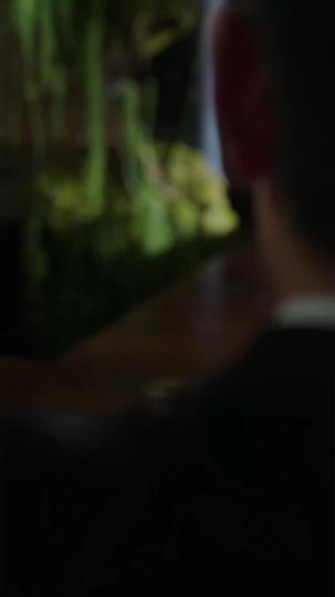 Like Roses, in Summer's Tender Kiss Episode 1