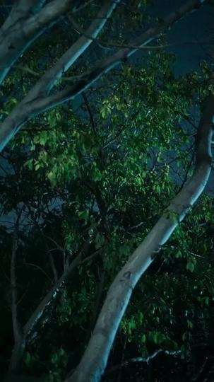 Where Love and Family Await Episode 3
