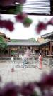 Episodes 31