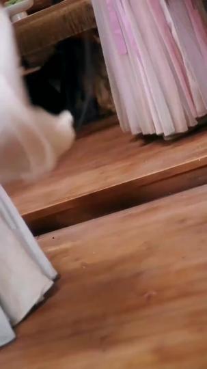 重生歸來：寵妾滅妻？我休夫！ 第8集