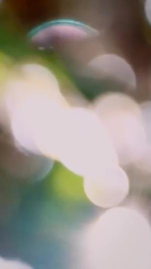 Getar Cinta Sang Bos Mafia Episode 6