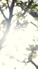 Episodes 43